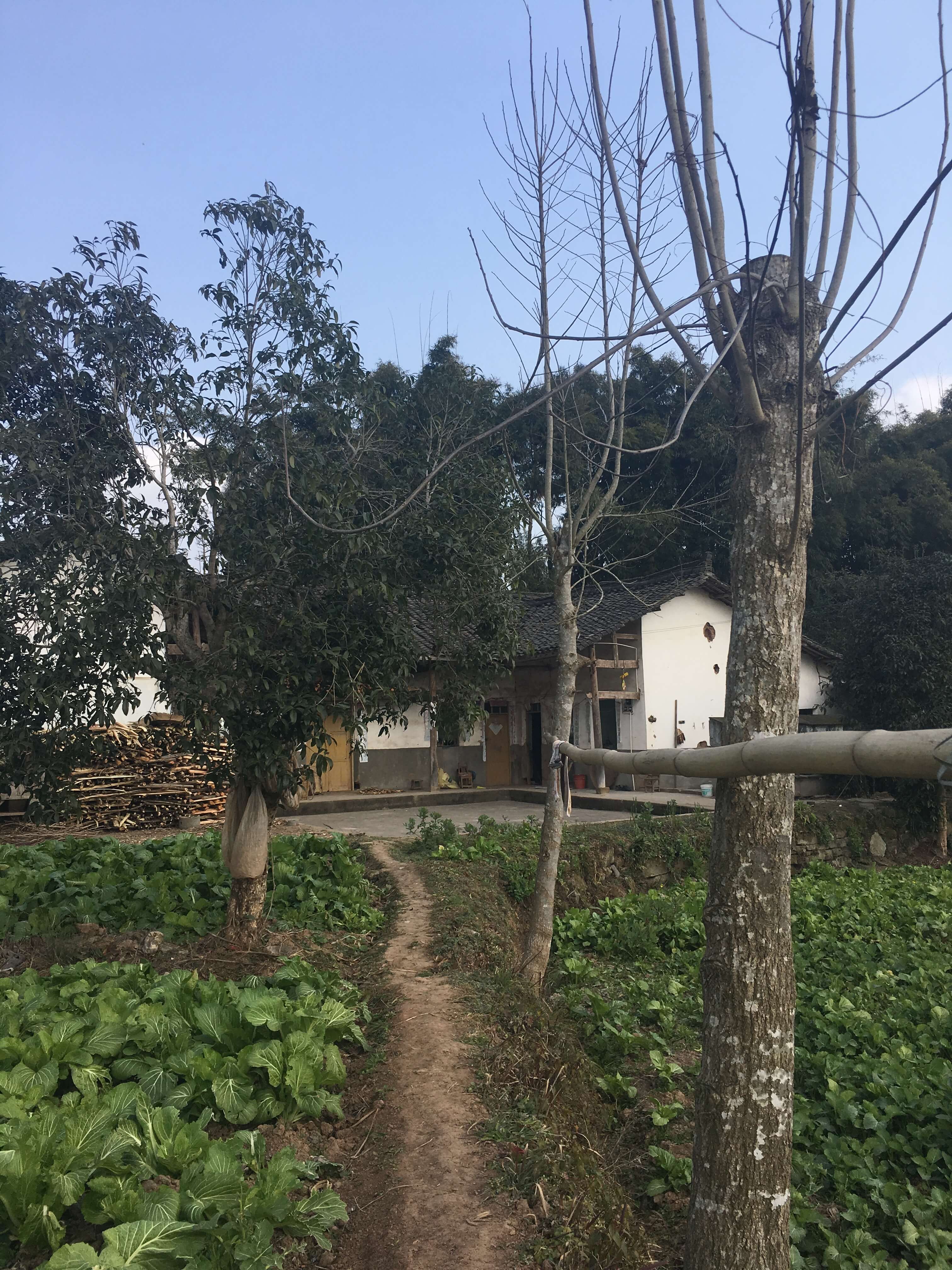 home2