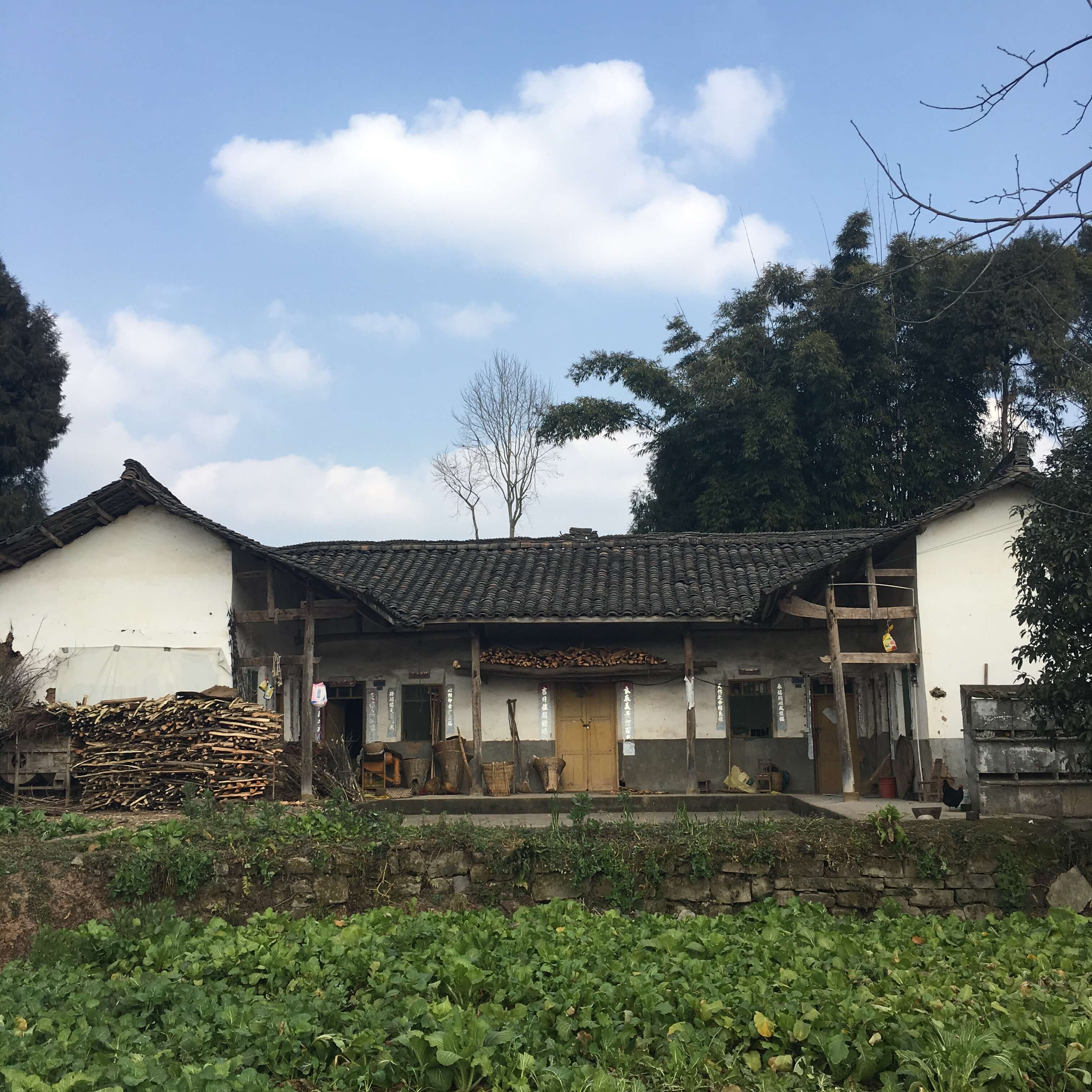 home5