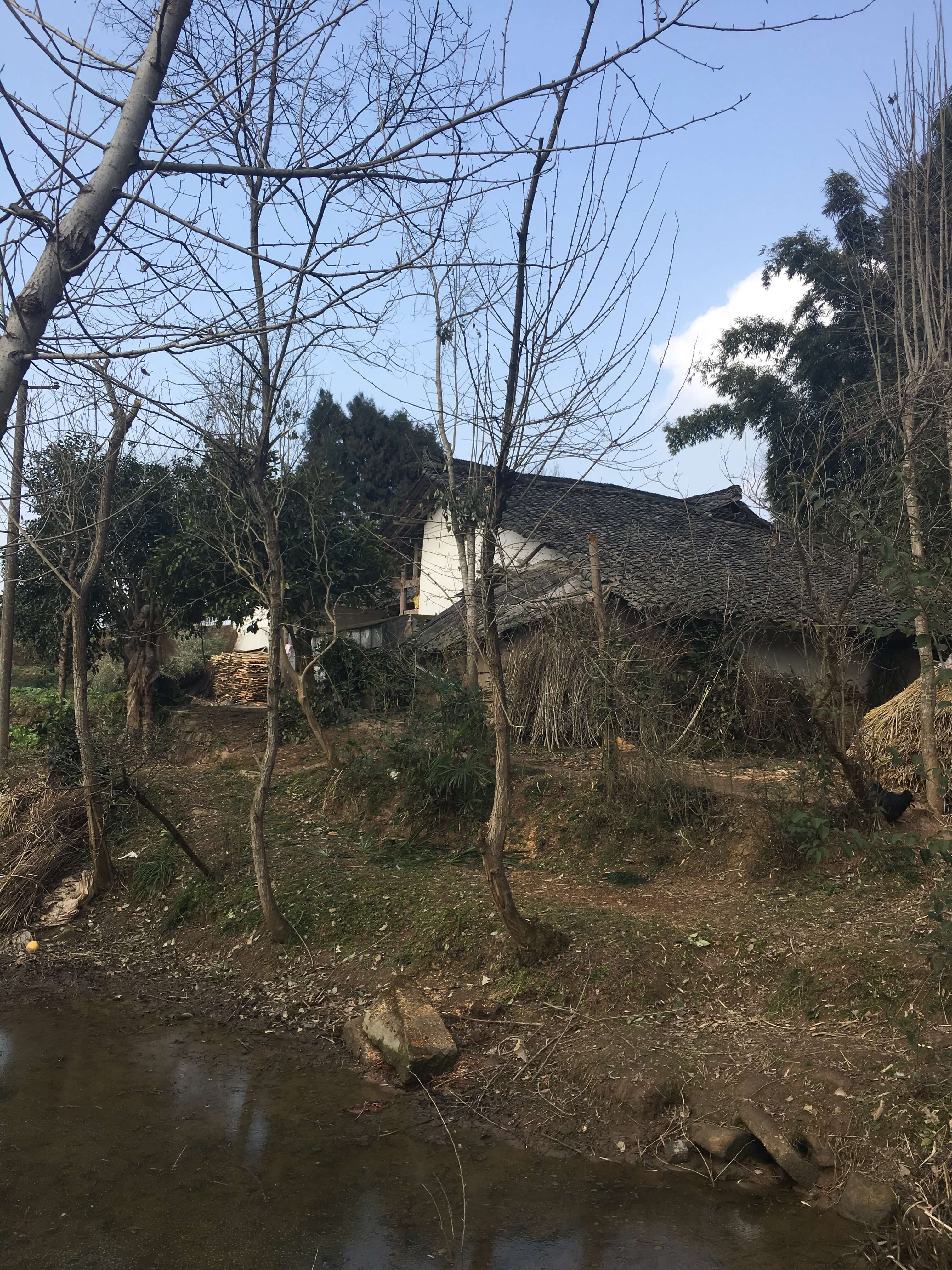home6